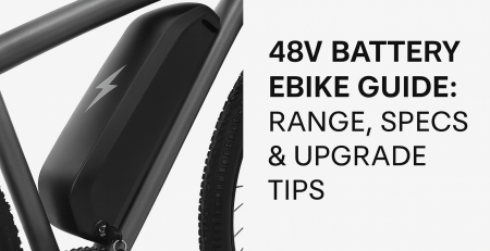 48V ebike battery guide