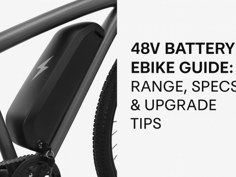 48V ebike battery guide