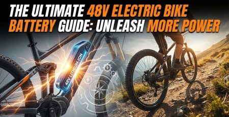 48v Electric Bike Battery